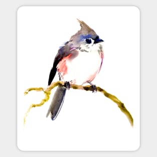 Beautiful Bird, Titmouse Sticker